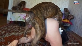 Русское порно кучерявой женщины с собакой в жилище от russia team